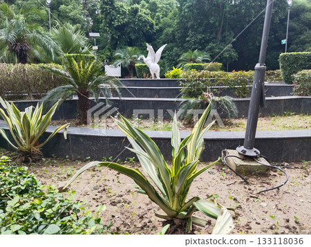 Landscape garden with palm and ornamental plants, multi-level stone edging, and lamp post, clean greenery in urban park 133118036