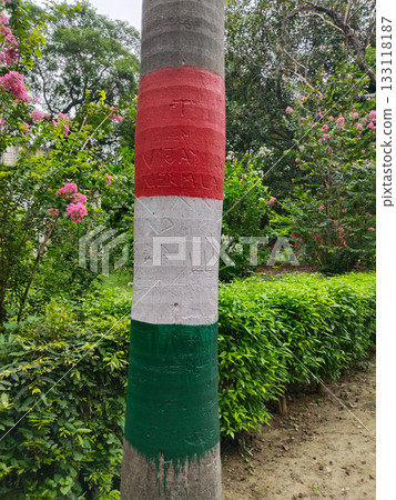 Garden walkway lined with palm trees painted in tricolor bands, featuring potted decorative plants and lush greenery on both sides, ideal for public parks, campus landscapes or ceremonial paths, Garden walkway lined with palm trees painted in tricolor bands, featuring potted decorative plants and lush greenery on both sides, ideal for public parks, campus landscapes or ceremonial paths, 133118187