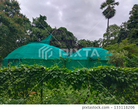 Green shade net structure in a garden with visible damaged or collapsed sections, used for plant protection and nursery purposes, shows wear due to weather or external impacts, highlights need for Green shade net structure in a garden with visible damaged or collapsed sections, used for plant protection and nursery purposes, shows wear due to weather or external impacts, highlights need for 133118206