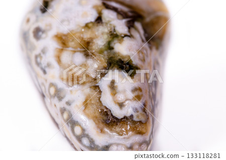 Macro mineral stone Jasper oceanic on a white background 133118281