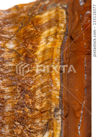 Macro mineral stone Tiger's eye in the breed on a white background 133118377