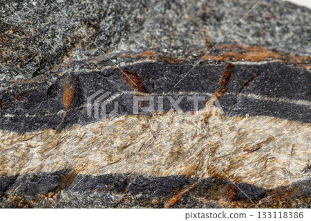 Macro mineral stone Snake eye in the rock a white background 133118386