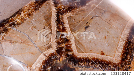 Macro mineral stone Simbirzit and Septaria on white background 133118417