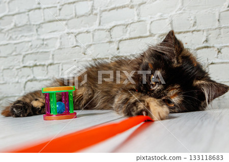 Beautiful little cat girl on a background of a brick wall Beautiful little cat girl on a background of a brick wall 133118683