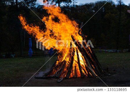 Beautiful fire flames on a campfire 133118695