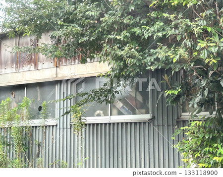 An old house with tin-clad exterior walls and roof 133118900