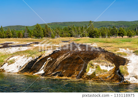 Dark bacteria mat runoff from Rabbit Creek flows over a white sinter crust into the Firehole River in Yellowstone National Park's Lower Geyser Basin 133118975