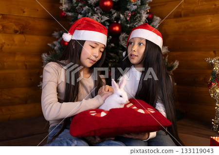 girls are petting a white rabbit on a red pillow next to a Christmas tree. girls are petting a white rabbit on a red pillow next to a Christmas tree. 133119043