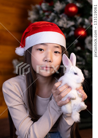 girl wearing a Santa hat is holding a white rabbit in front of a Christmas tree. girl wearing a Santa hat is holding a white rabbit in front of a Christmas tree. 133119061