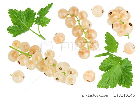 white or yellow currant isolated on white background. Top view. Flat lay white or yellow currant isolated on white background. Top view. Flat lay 133119149