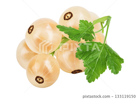 white or yellow currant isolated on white background with full depth of field 133119150