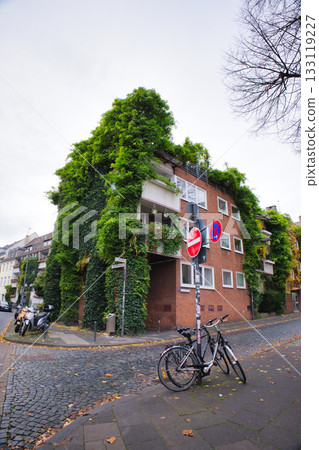 Building covered in green vines on a quiet street in the city during autumn Building covered in green vines on a quiet street in the city during autumn 133119227