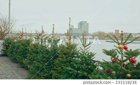 Decorative Christmas trees along a riverside promenade in a city during winter months Decorative Christmas trees along a riverside promenade in a city during winter months 133119236