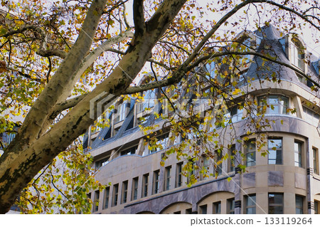 Beautiful autumn leaves frame an elegant building in a peaceful urban area during daytime Beautiful autumn leaves frame an elegant building in a peaceful urban area during daytime 133119264