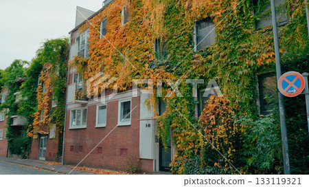 Colorful autumn leaves cover a charming building in a quiet city street Colorful autumn leaves cover a charming building in a quiet city street 133119321