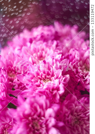 Abstract floral background with pink bouquet chrysanthemum flower, selective focus Abstract floral background with pink bouquet chrysanthemum flower, selective focus 133119472