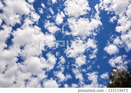 A bottom-up view of white clouds in a blue sky A bottom-up view of white clouds in a blue sky 133119473