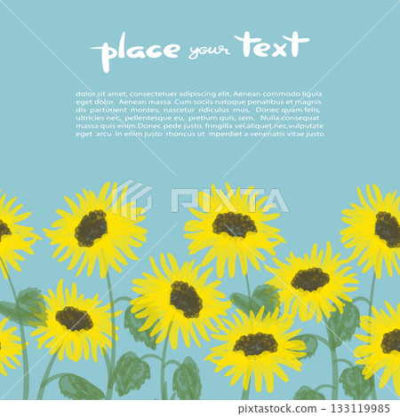 Sunflower background with place for text. Vector illustration. Poster design Sunflower background with place for text. Vector illustration. Poster design 133119985
