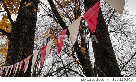 Red and white triangular bunting hanging against a background of bright yellow autumn foliage and sky Red and white triangular bunting hanging against a background of bright yellow autumn foliage and sky 133120340