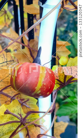 Vibrant fall still life with a decorative pumpkin, yellow berries, and colorful autumn foliage Vibrant fall still life with a decorative pumpkin, yellow berries, and colorful autumn foliage 133120347