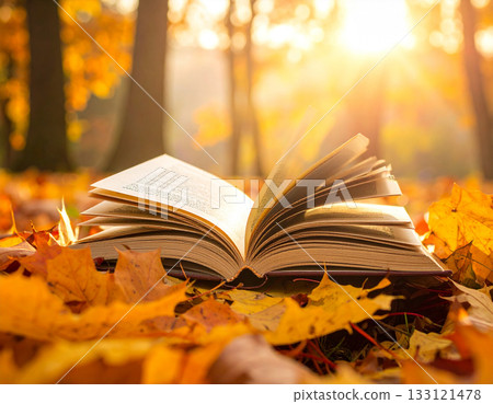 Fall of reading 133121478