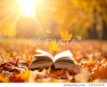 Fall of reading 133121479