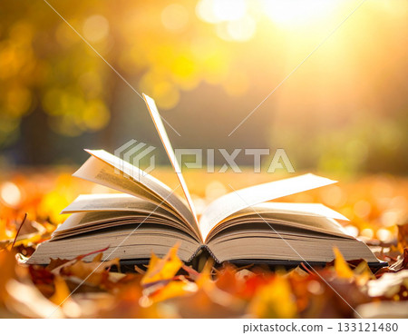 Fall of reading Fall of reading 133121480