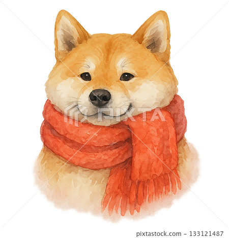 一隻戴著圍巾的柴犬插圖 - 可愛的冬季動物 一隻戴著圍巾的柴犬插圖 - 可愛的冬季動物 133121487