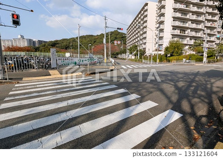Scenery of an intersection with a crosswalk and traffic lights 133121604