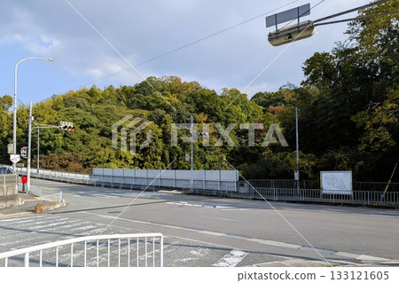 Scenery of an intersection with a crosswalk and traffic lights 133121605