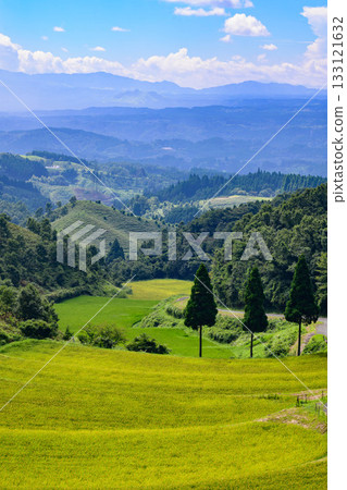 Fan rice terrace Fan rice terrace 133121632