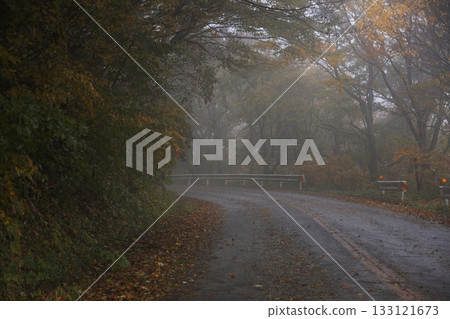 Foggy autumn mountain path and autumn leaves Foggy autumn mountain path and autumn leaves 133121673