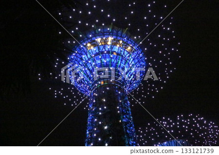 Gardens by the Bay Night Show 133121739