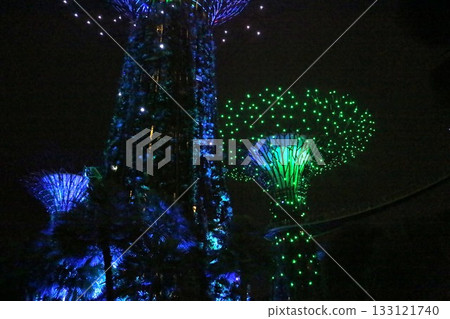 Gardens by the Bay Night Show 133121740