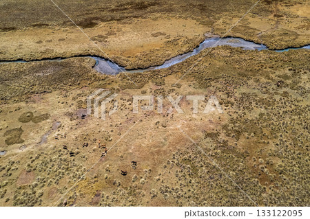 Wild horses grazing in the mountains Wild horses grazing in the mountains 133122095