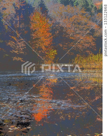 池塘岸邊的秋葉(afr20251108112444) 池塘岸邊的秋葉(afr20251108112444) 133122668