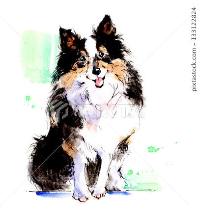 Watercolor illustration of a sitting and smiling long-haired dog Watercolor illustration of a sitting and smiling long-haired dog 133122824