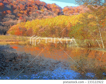Yellow leaves around the swamp (afr20251108112545) Yellow leaves around the swamp (afr20251108112545) 133122922