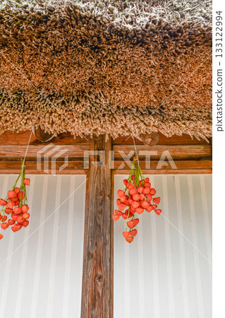 Gokayama Suganuma Gassho-style Village, Chinese Lantern 133122994