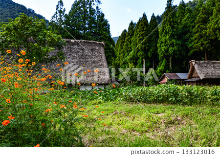 Gokayama Suganuma Gakusho Building Colony 133123016
