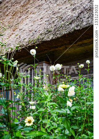 Gokayama Suganuma Gakusho Building Colony 133123032