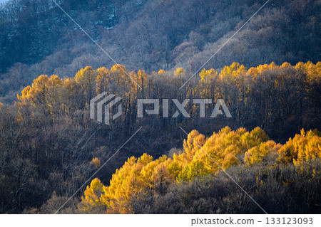 Autumn view of Mt. Moiwa_5971 133123093