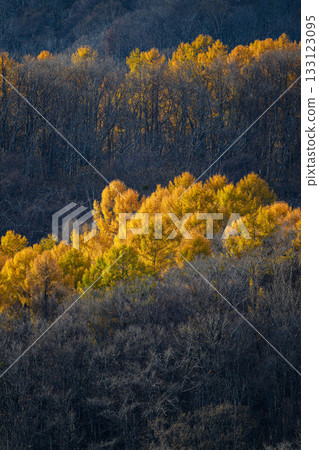 Autumn view of Mt. Moiwa_5975 Autumn view of Mt. Moiwa_5975 133123095