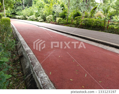 Straight paved walkway in green park bordered by wild grass and trees, tranquil outdoor path ideal for jogging, walking, leisure or nature exploration, clean surroundings with fresh greenery, open 133123197