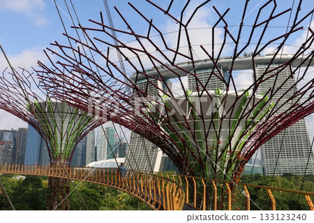 Singapore's newest attraction, Gardens by the Bay Singapore's newest attraction, Gardens by the Bay 133123240