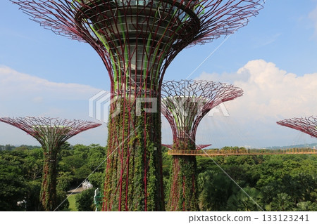 新加坡最新景點：濱海灣花園 133123241