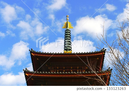 Iinuma Kannon is the 27th temple of the Thirty-three Kannon pilgrimages of Bando in Chiba Prefecture. Perfect for your first visit of the year. 133123263