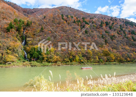 Spectacular autumn scenery: Boat ride down the Mogami River past Shiraito Falls, with autumn foliage. Shiraito Falls, Yamagata Prefecture 133123648