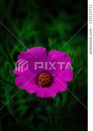 Red Matsuba Button Flower Red Matsuba Button Flower 133123711