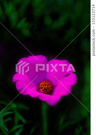 Red Matsuba Button Flower Red Matsuba Button Flower 133123714